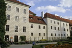 grafika
